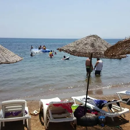 Mir Tatil Koeyue