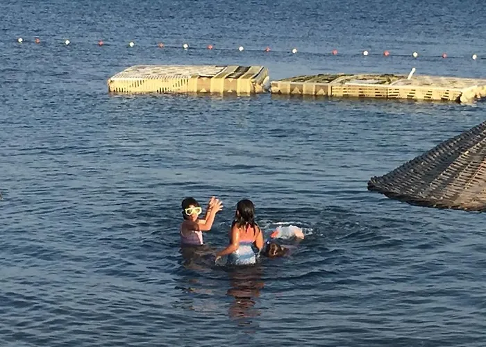 Mir Tatil Koeyue Doganbey (Izmir)