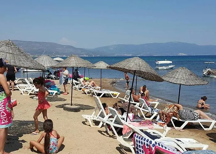 Mir Tatil Koeyue Tatil parkı *